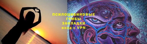гидра Белокуриха