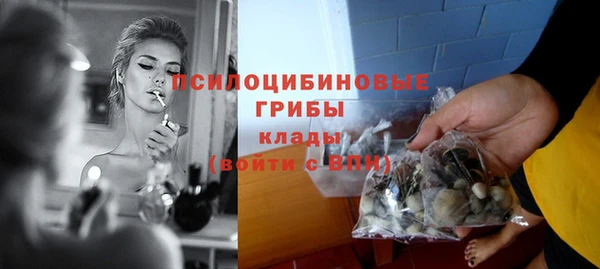 гидра Белокуриха