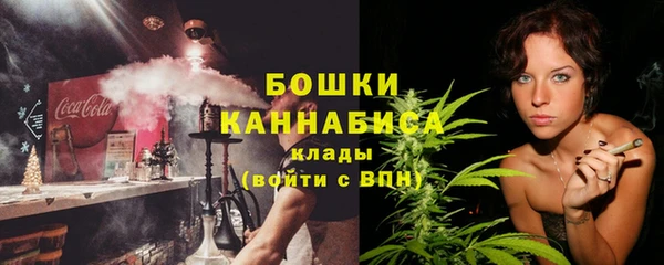 гидра Белокуриха