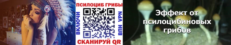 закладки Велиж Псилоцибиновые грибы Psilocybine cubensis